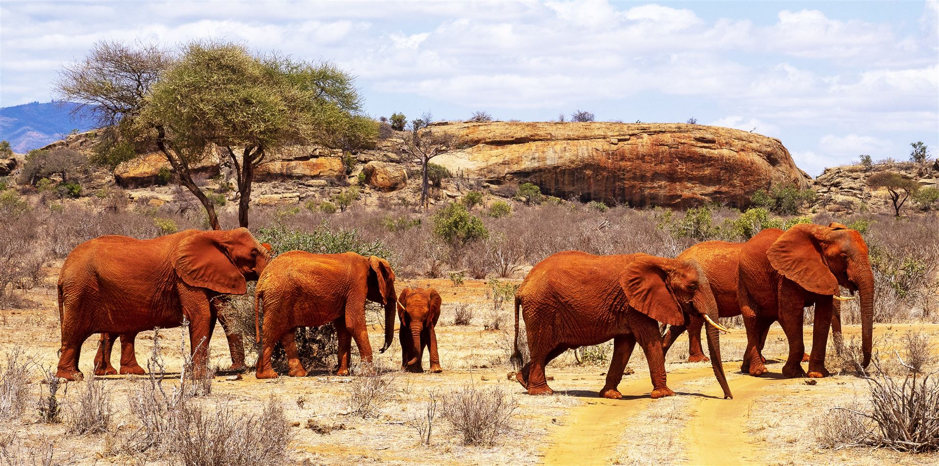 2 Days Tsavo East
