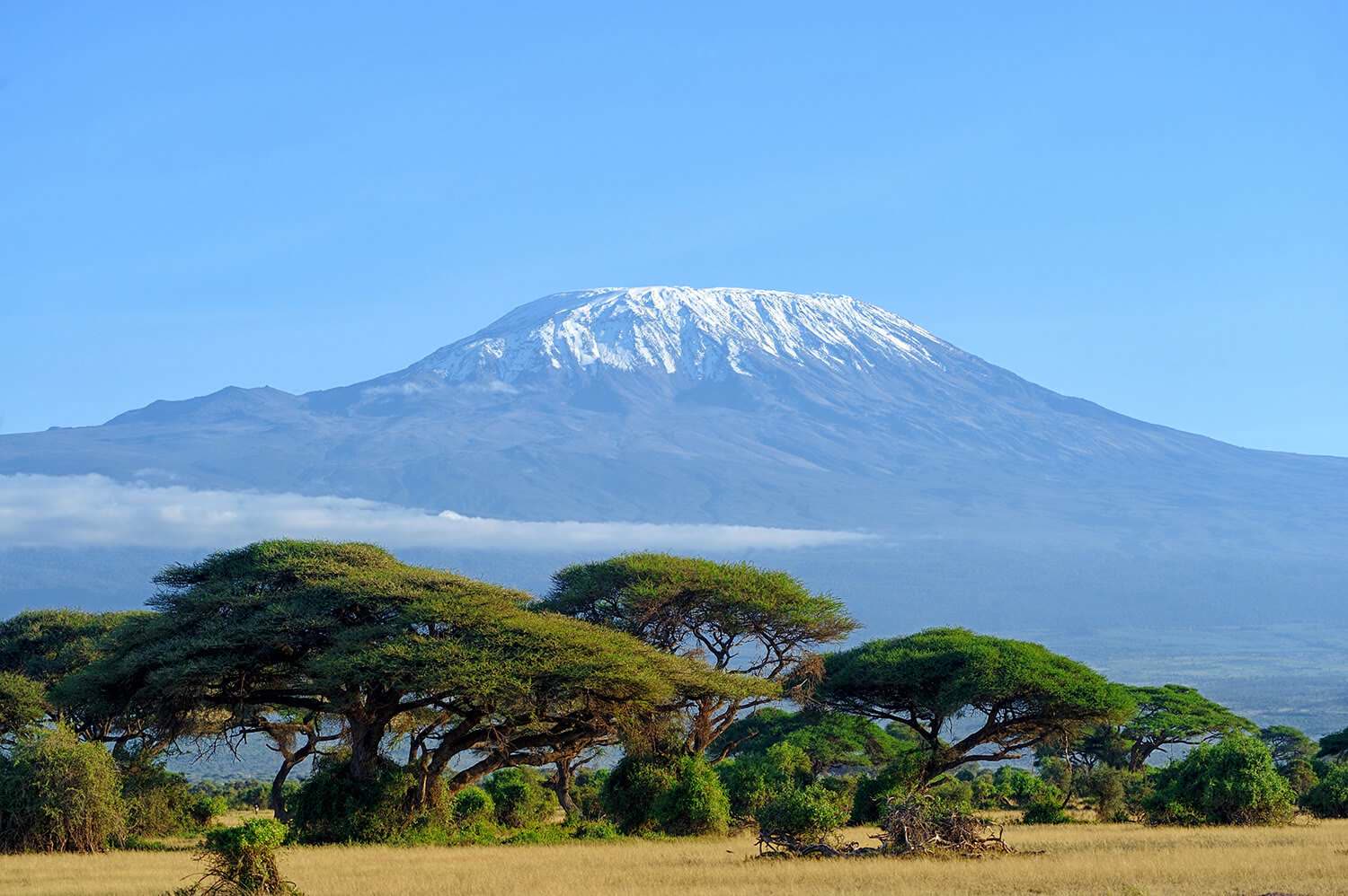 Amboseli