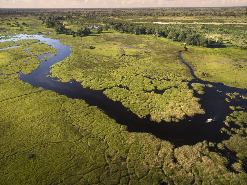 Okavango Delta Waterways