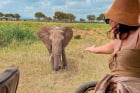 6 Days Live Jungle Explorer