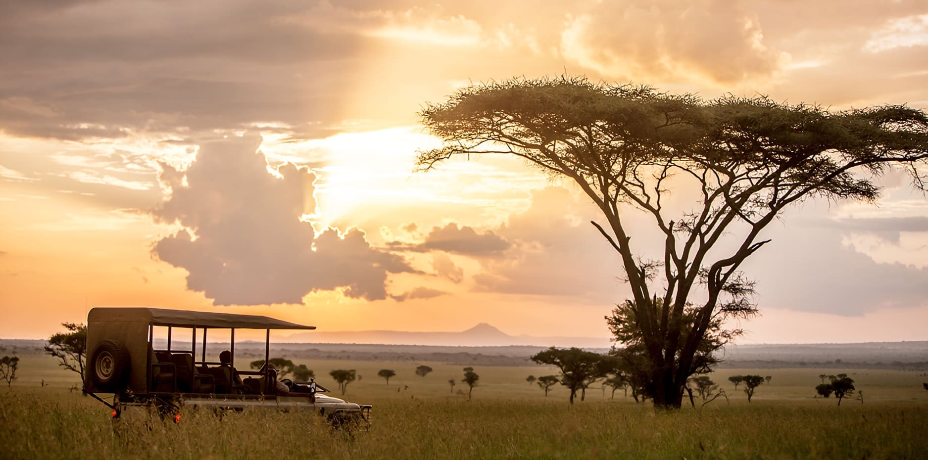 Mara Air Safari